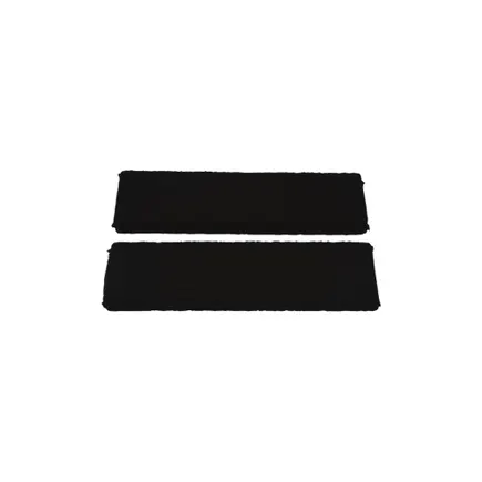 Atag Regenereerbaar Koolstoffilter HF2006 (2St.)