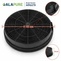 Alapure Koolstoffilter geschikt voor AEG MCFE12 / Mod.47 / 50292969008 (2 St.)