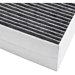 Alapure CleanAir Koolstoffilter geschikt voor Gaggenau AA200110 / 00678460 / 11017314