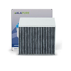 Alapure CleanAir Koolstoffilter geschikt voor Gaggenau AA200110 / 00678460 / 11017314