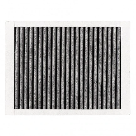 Alapure Geur En Fijnstoffilter geschikt voor Atag HF3001