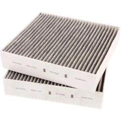 Gaggenau Koolstoffilter 11058753 / 11028106 / AA410110 (2St.)