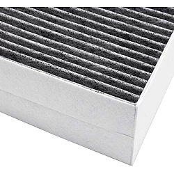 Alapure CleanAir Koolstoffilter geschikt voor Neff  00678460 / 11017314 / Z5170X1