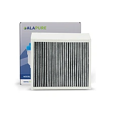 Alapure Geur En Fijnstoffilter geschikt voor Etna HF3013