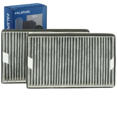 Alapure HFK3975 Compatibel met Miele Koolstoffilter DKF19-P / FWKM-1423 (2 St.)