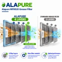 Alapure Metaalfilter geschikt voor Etna 453284 / 89000754 384x282x6mm
