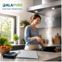 Alapure Metaalfilter geschikt voor Etna 453284 / 89000754 384x282x6mm