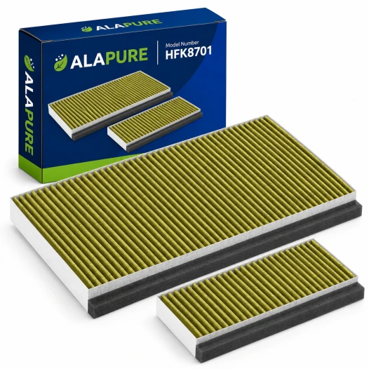 Alapure CleanAir Plus Koolstoffilter geschikt voor Constructa 17005414 / CZ51AIB1X6