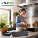 Alapure Koolstoffilter geschikt voor AEG MCFB82ST / 9029865806 