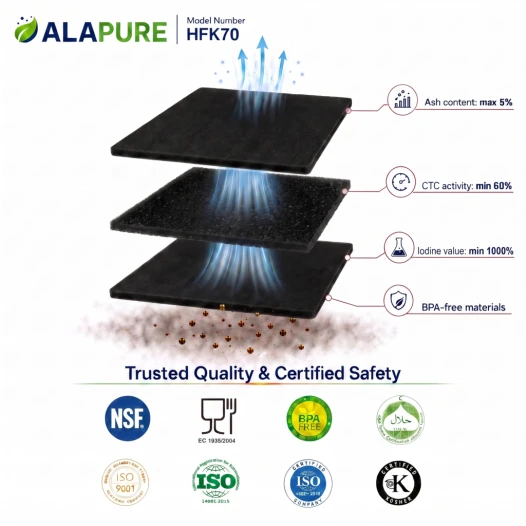 Alapure HFK80 koolstoffilter geschikt voor DeDietrich Koolstoffilter 74X6072