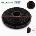 Alapure Koolstoffilter geschikt voor Beko 9197068268 (2St.)
