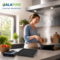 Alapure Koolstoffilter geschikt voor Electrolux 9029793693